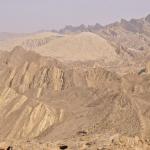 there were shells and fossils everywhere 