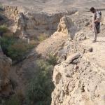 The canyons provided protection from the harsh desert allowing some trees to grow